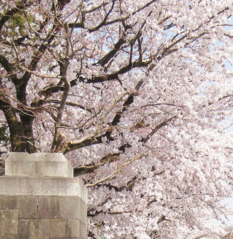 富山県立富山高校